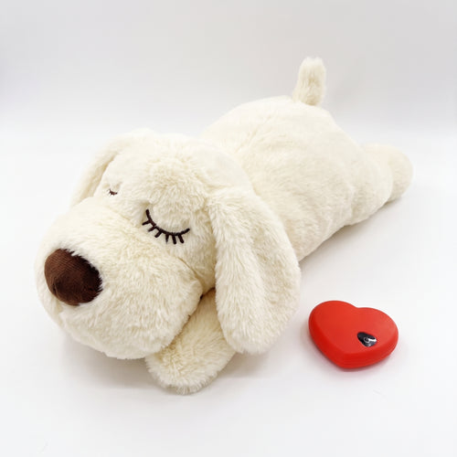 NeverAlone Pup