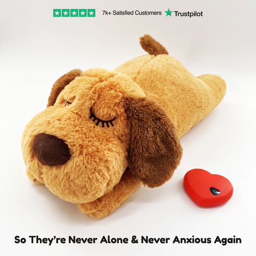 NeverAlone Pup